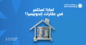 الاستثمار في العقارات الإندونيسية