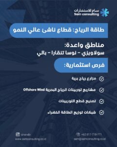 الاستثمار في طاقة الرياح في اندونيسيا